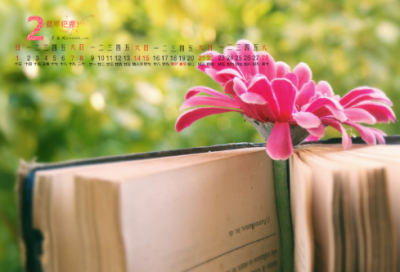 ​林冲棒打洪教头的故事 反映了他们怎样的性格