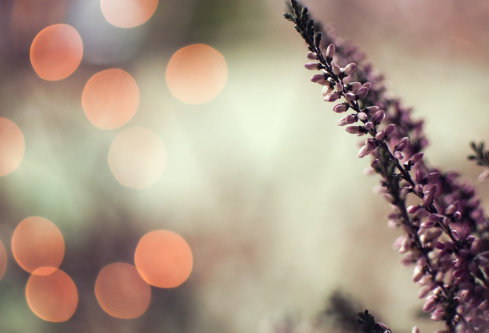 1702754432356122.png image.png