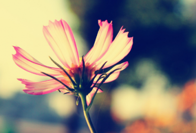 ​周武王定都的故事