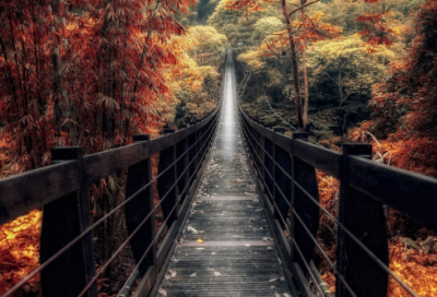 ​袁承志温青青的故事 碧血剑袁承志到底喜欢谁