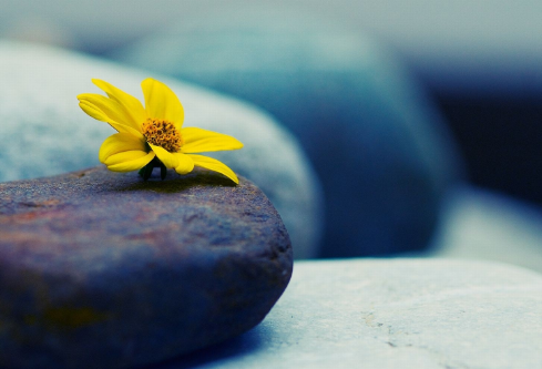 1702755095649931.png image.png