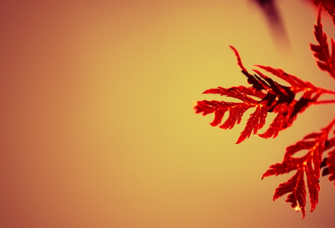 1702755924162359.png image.png