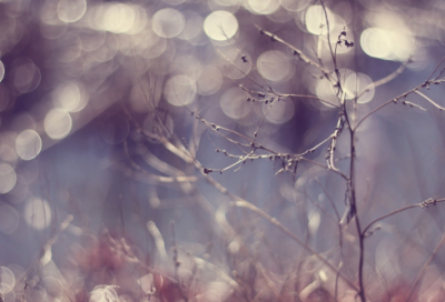 ​林冲和史文恭的故事 揭秘史文恭和林冲谁厉害