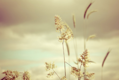 ​孟子见梁襄王的故事 期间孟子说了些什么