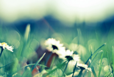 ​《三字经》中的十个励志故事