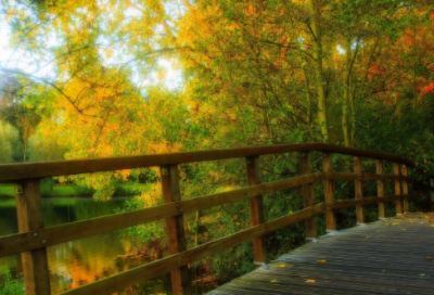 ​白居易的生平故事介绍