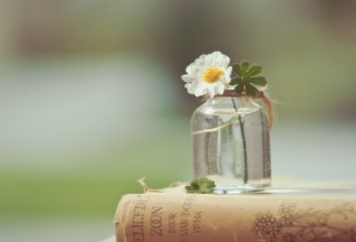 ​包拯廉洁无私故事