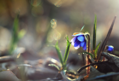 ​大汉史官司马迁被宫刑的故事
