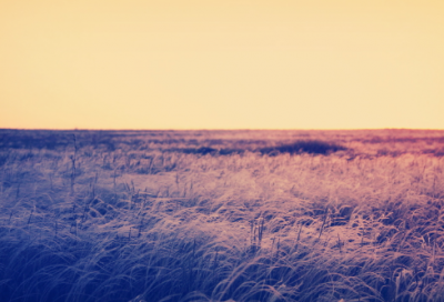 ​罗艺反唐的故事 罗艺的燕云十八骑介绍