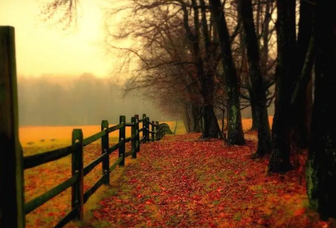 1702762229565337.png image.png