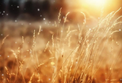 ​老子一气化三清的神话故事 关于老子的故事介绍