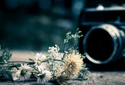 ​陆羽品茗 茶圣陆羽的故事