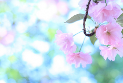 ​韩世忠与梁红玉的故事 从相遇到相知相惜