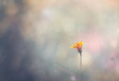 ​大学英语演讲小故事大全