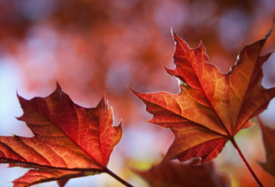 ​唐代政坛举足轻重的大臣褚遂良的故事