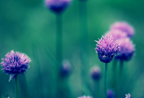 1702765051117709.png image.png