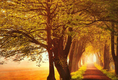 ​荀子劝学的故事 激励人们要不断地学习