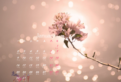 ​爱国名臣王十朋苦学书法的故事