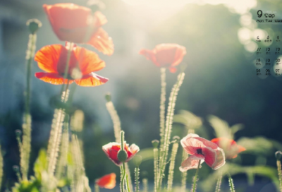 ​达尔文小时候的故事 达尔文与昆虫发生什么趣事