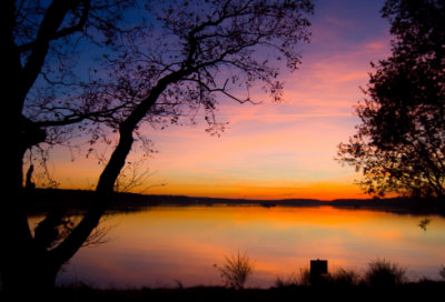 ​巴赫家族介绍 巴赫的故事分享
