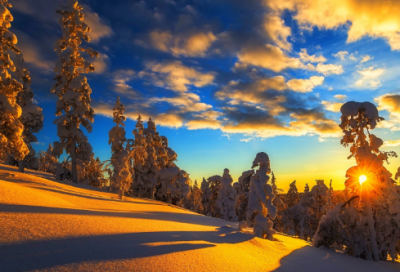 ​一代书圣王羲之成为“东床快婿”的故事