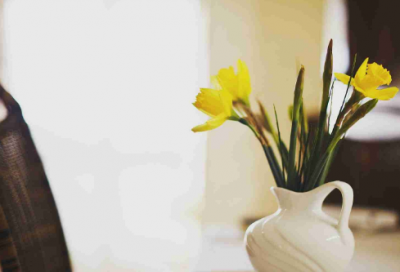 ​猪八戒吃西瓜的故事