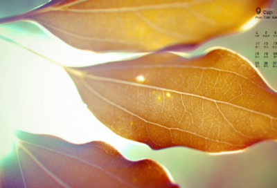 ​伽利略的成就有哪些 伽利略做实验的故事