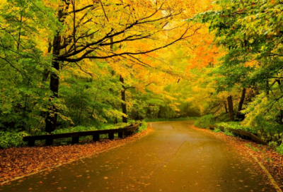 ​魏国华歆是个怎样的人 华歆拒赠故事解读