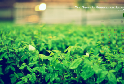 ​米开朗基罗与父亲的故事