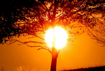 ​曾子避席有什么含义 曾子避席的故事介绍