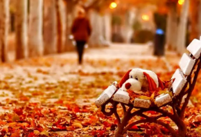 ​关于青春爱情的故事三则