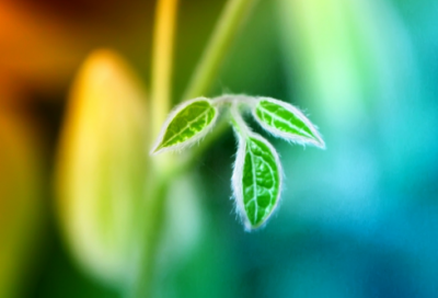 ​韩湘子得道成仙前的故事