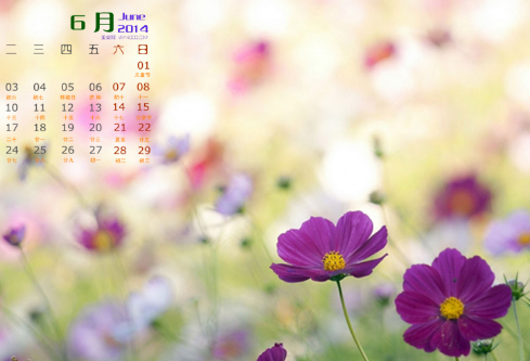 1702771855356085.png image.png