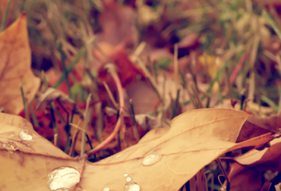 ​唐僧扫塔是一个什么故事