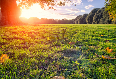 ​历史上梁太祖朱温张惠的爱情故事