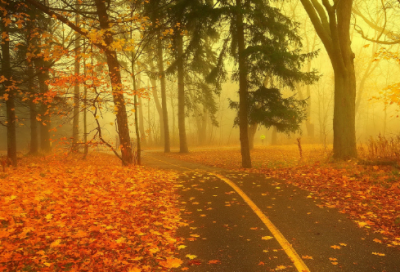 ​夏雪宜温倩的爱情故事