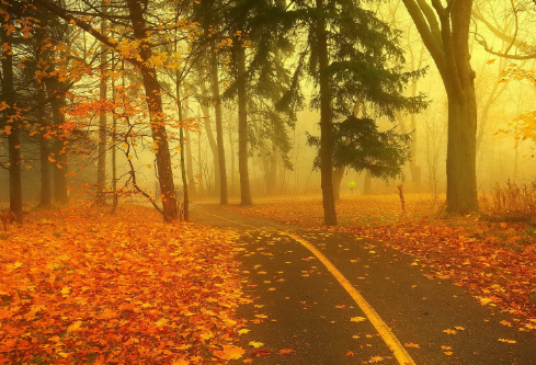 1702773182378764.png image.png