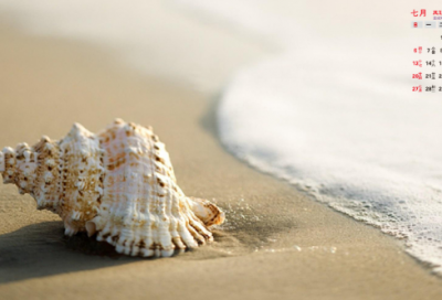 ​白起和赵括的长平之战 白起和赵括的故事