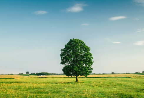 1702775835611709.png image.png