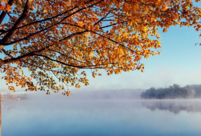 ​李煜与大小周后姐妹的爱情故事