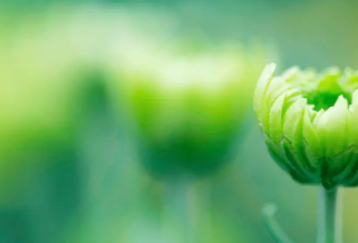 ​女孩的奋斗励志故事