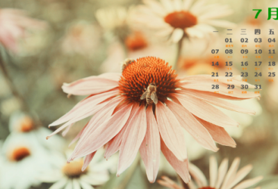 ​先贤樊子樊迟问稼的故事