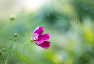 ​汉代皇帝刘盈童年的故事揭秘