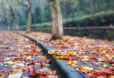 ​周族的伟大领袖周文王的故事