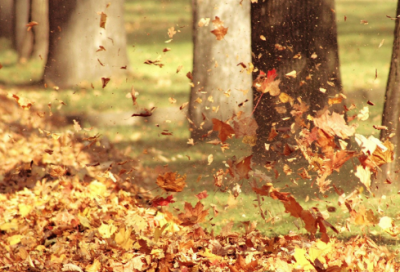 ​冰心的爱情故事