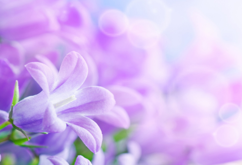 1702782142587157.png image.png