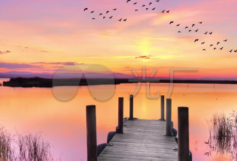 1702782641869398.png image.png