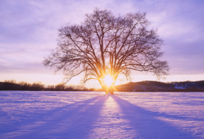 ​和感恩节有关的小故事