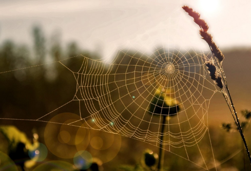 1702783636392965.png image.png