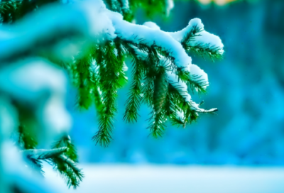 ​宋庆龄的故事三则